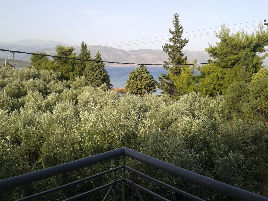 Elea Guesthouse Galaxídhion Pokoj fotografie